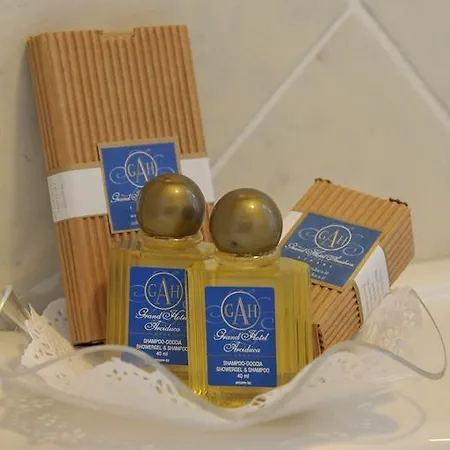 호텔 Arciduca Grand 4*